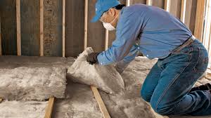 Best Eco-Friendly Insulation Solutions  in USA